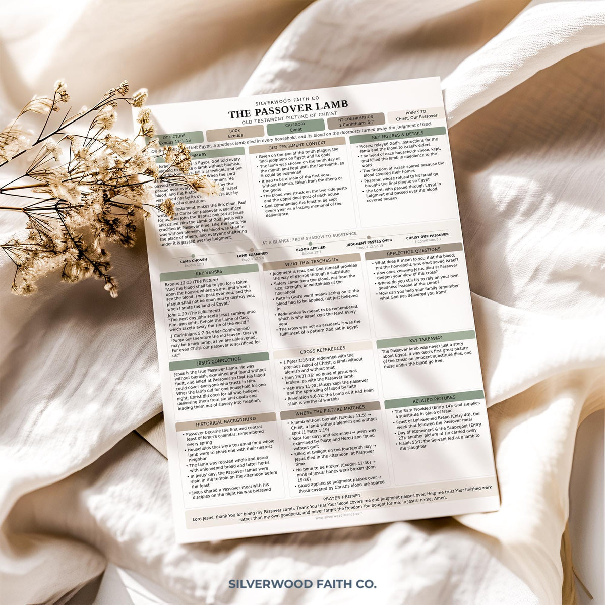 Jesus in the Old Testament Bible Study Guide, Green Bible Study Inserts, Tips Ins Old Testament Printable Bible Study (Digital Download)