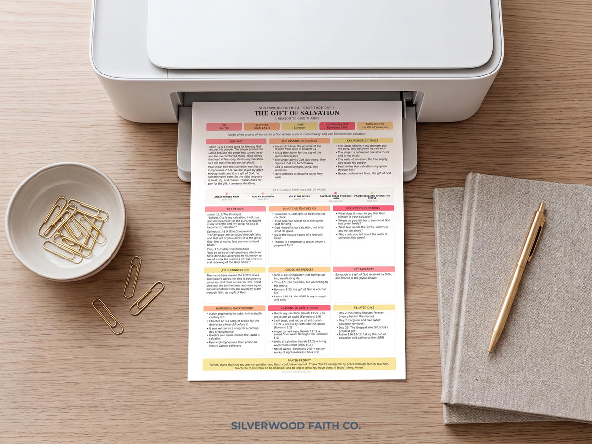 Thanksgiving 30 Day Gratitude Bible Study Guide, Bible Study Inserts, Bible Tips Ins, Thanksgiving Bible Verse Printable (Digital Download)