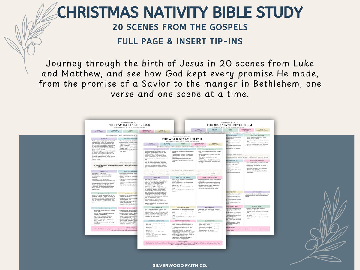 Christmas Nativity Bible Study Guide, Birth of Jesus Bible Study Inserts, Bible Tips Ins, Christmas Story Devotional PDF (Digital Download)