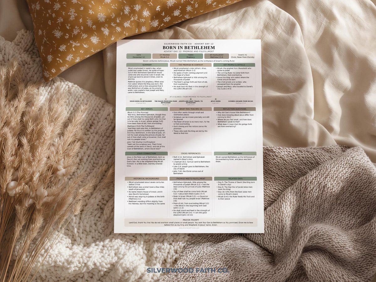 Advent Bible Study Guide, 25 Days of Advent Bible Study Inserts, Christmas Bible Study Tip Ins, Promise and Fulfillment (Digital Download)