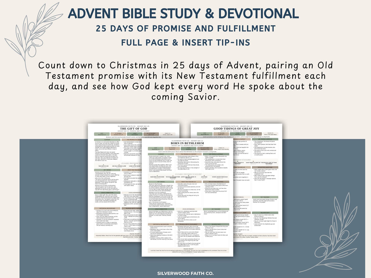 Advent Bible Study Guide, 25 Days of Advent Bible Study Inserts, Christmas Bible Study Tip Ins, Promise and Fulfillment (Digital Download)