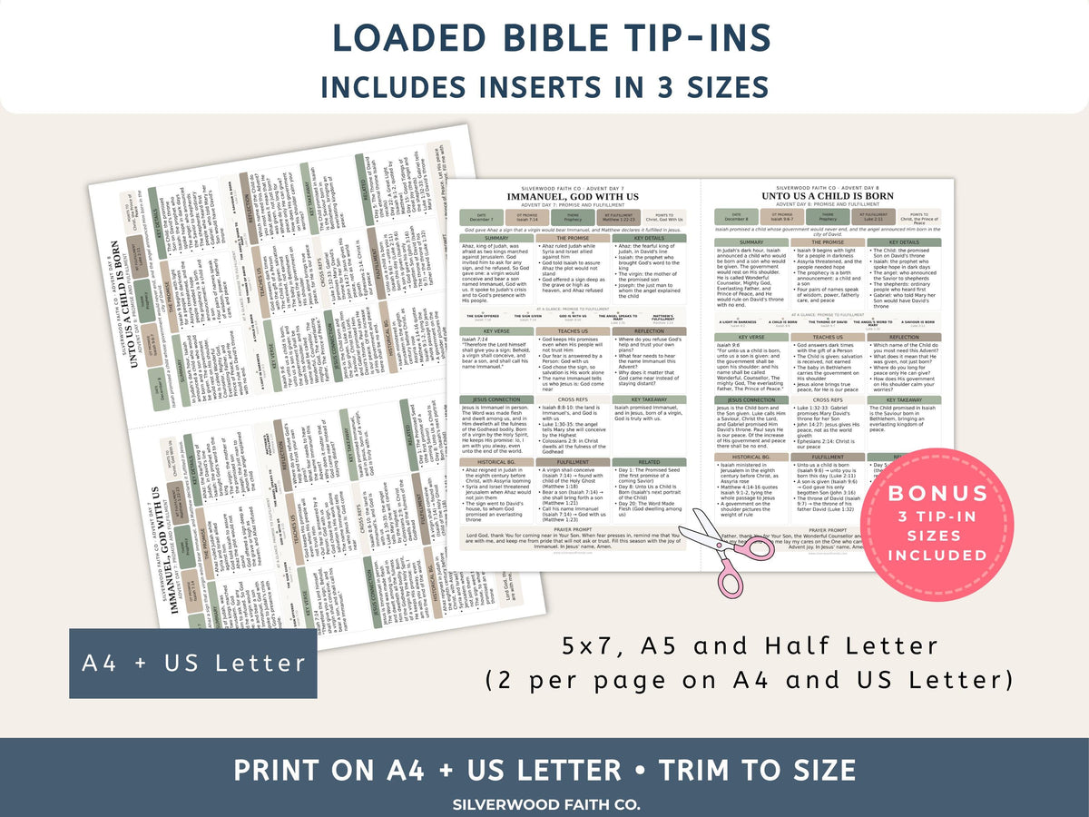 Advent Bible Study Guide, 25 Days of Advent Bible Study Inserts, Christmas Bible Study Tip Ins, Promise and Fulfillment (Digital Download)