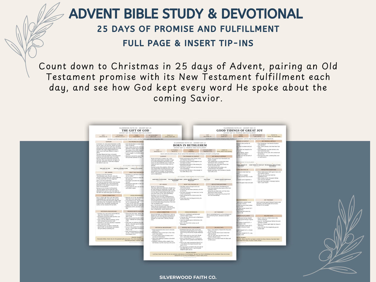 Advent Bible Study Guide, 25 Days of Advent Bible Study Inserts, Christmas Bible Study Tip Ins, Promise and Fulfillment (Digital Download)
