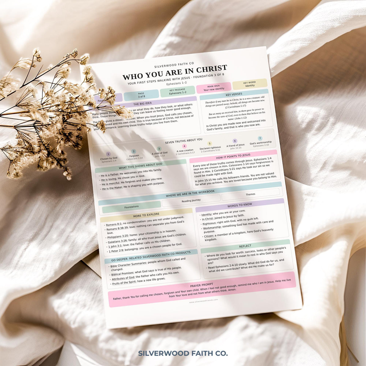 Beginner Bible Study Guide Inserts, Bible Study Tip Ins, New Believer Bible Study Guide, New Believer Baptism Gift, PDF (Digital Download)
