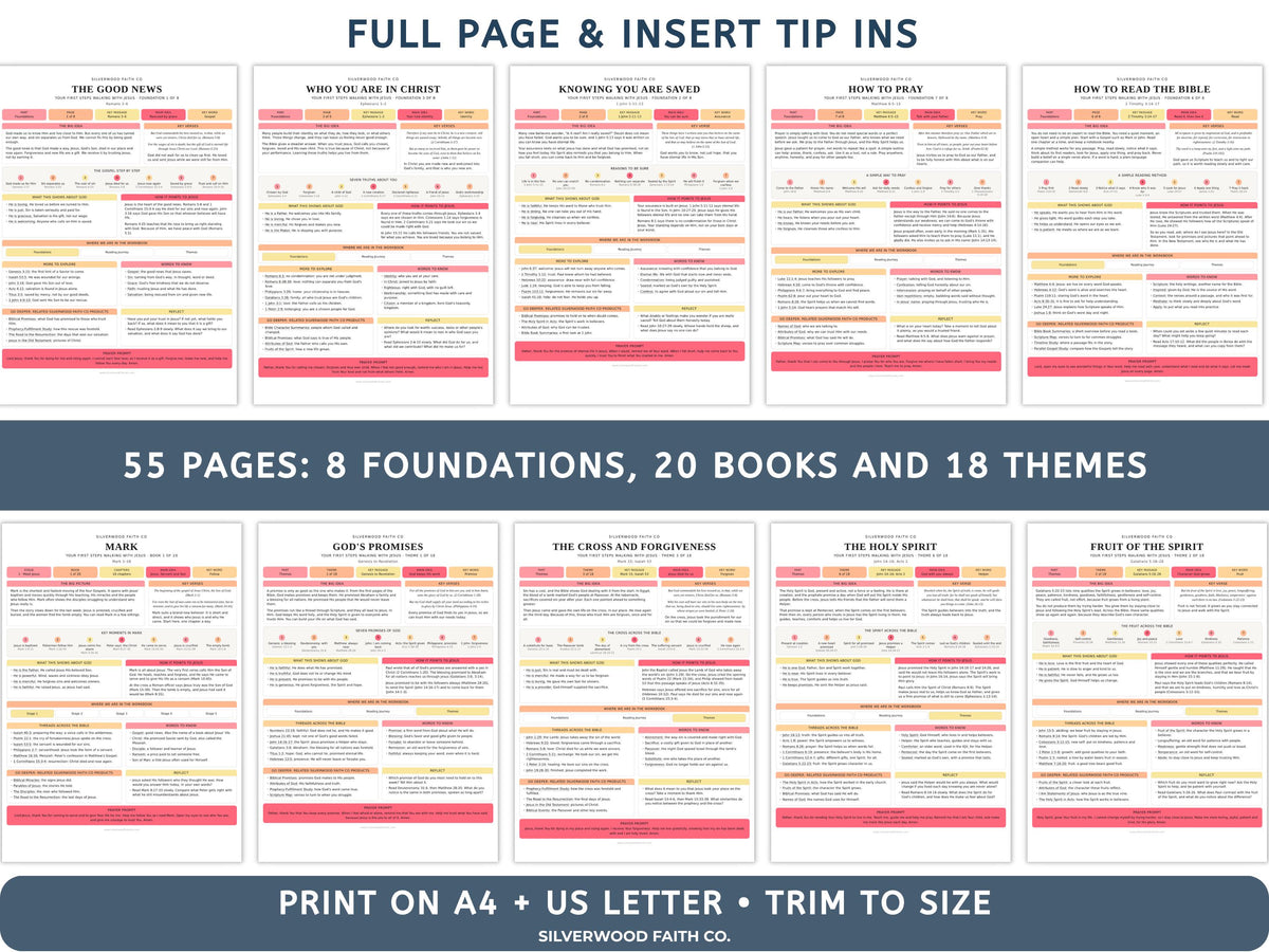 Beginner Bible Study Guide Inserts, Bible Study Tip Ins, New Believer Bible Study Guide, New Believer Baptism Gift, PDF (Digital Download)