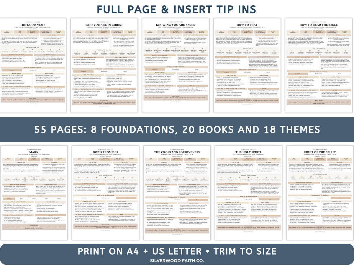 Beginner Bible Study Guide Inserts, Bible Study Tip Ins, New Believer Bible Study Guide, New Believer Baptism Gift, PDF (Digital Download)