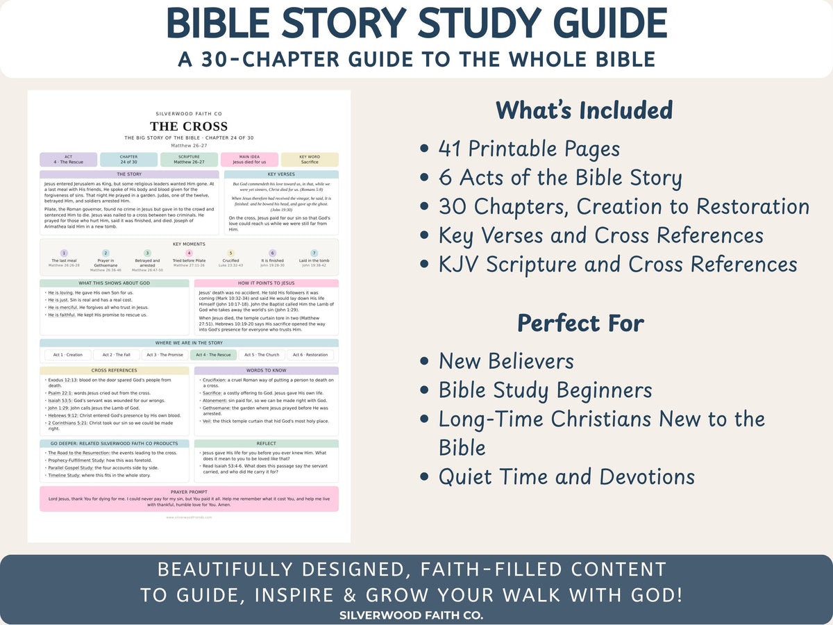 Bible Story Study Guide Printable, Bible Study Guides for Beginners, New Believer Bible Summaries, Sunday School Lessons, (Digital Download)