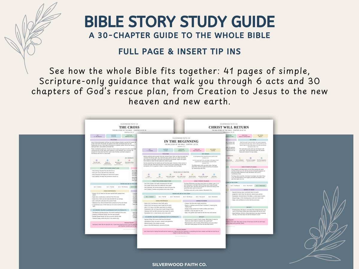 Bible Story Study Guide Printable, Bible Study Guides for Beginners, New Believer Bible Summaries, Sunday School Lessons, (Digital Download)