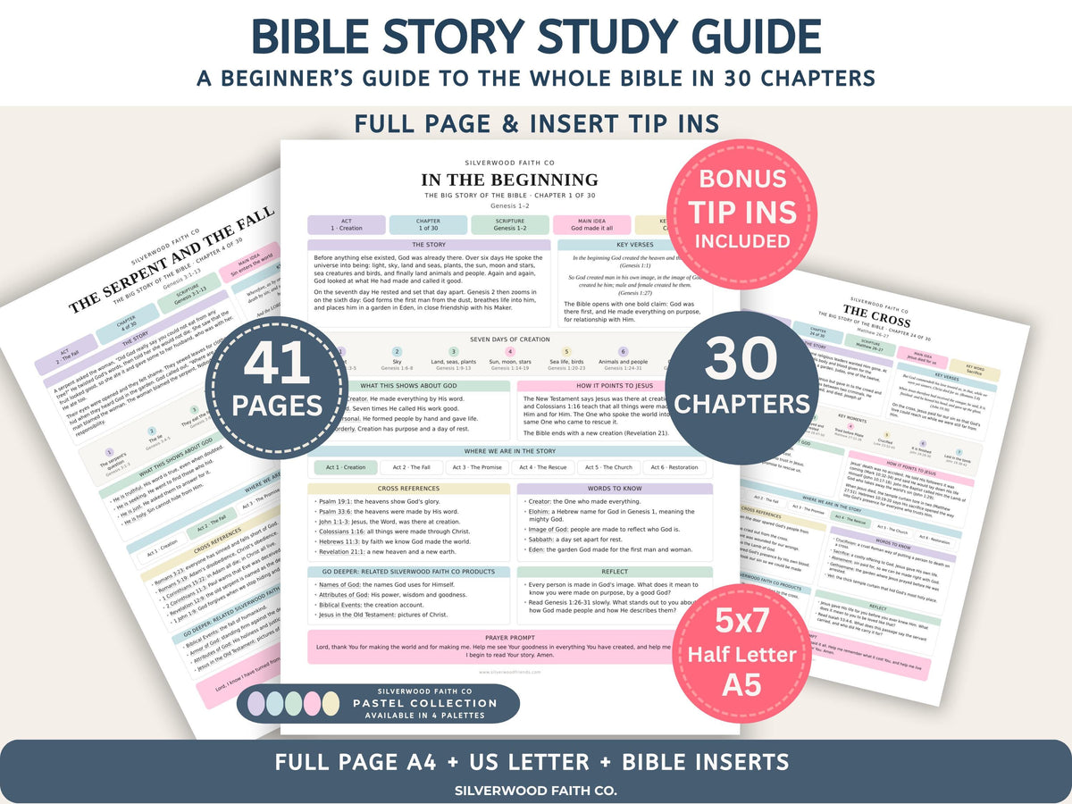 Bible Story Study Guide Printable, Bible Study Guides for Beginners, New Believer Bible Summaries, Sunday School Lessons, (Digital Download)