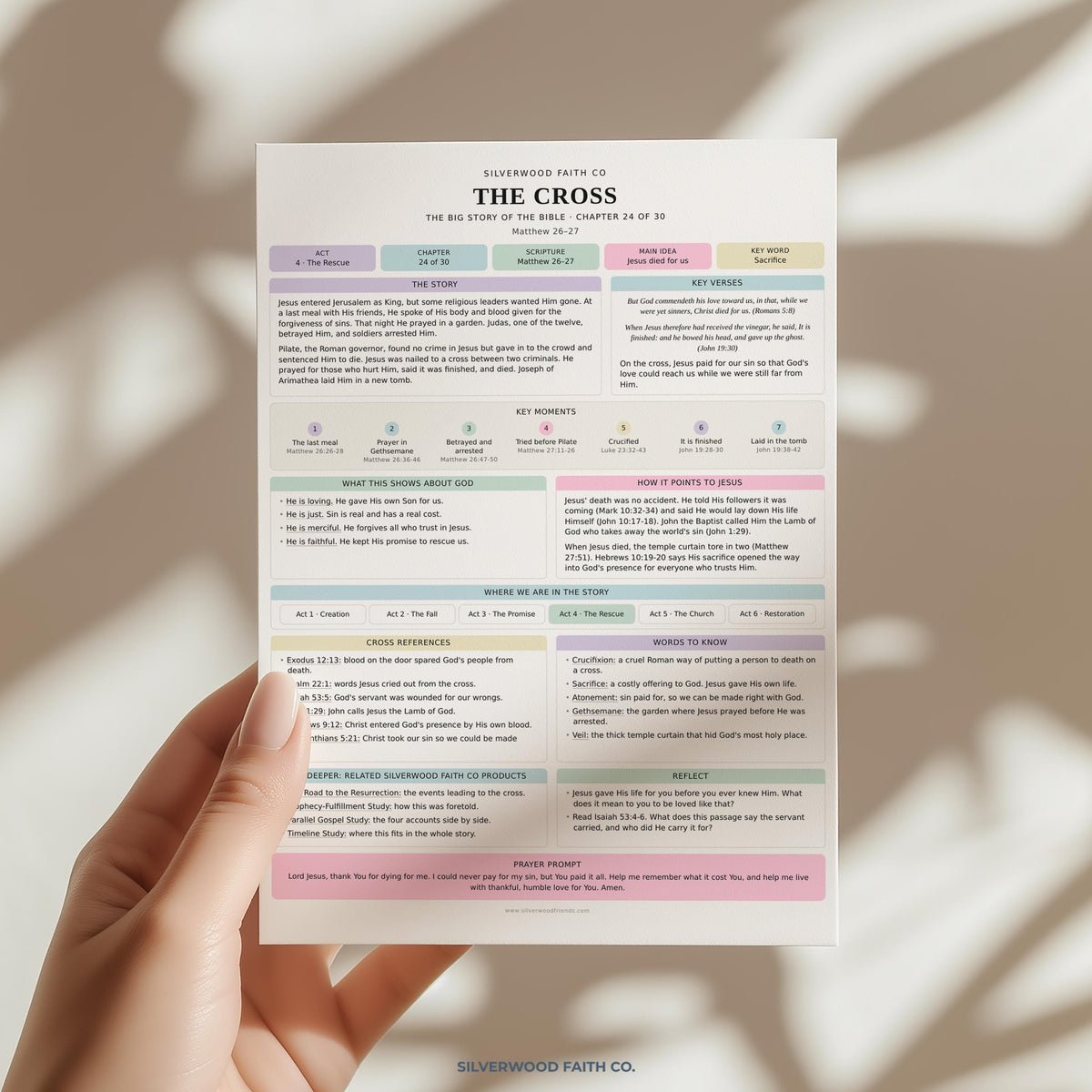 Bible Story Study Guide Printable, Bible Study Guides for Beginners, New Believer Bible Summaries, Sunday School Lessons, (Digital Download)