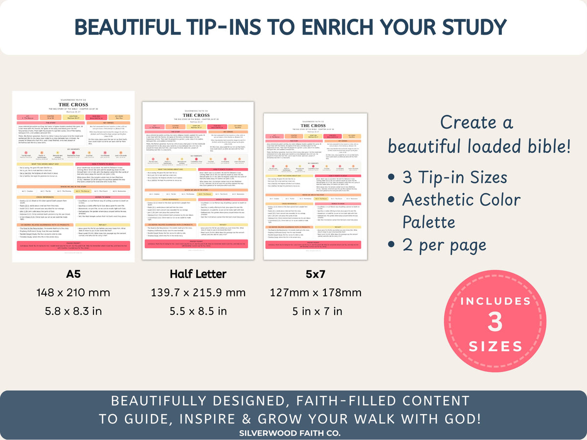 Bible Story Study Guide Printable, Bible Study Guides for Beginners, New Believer Bible Summaries, Sunday School Lessons, (Digital Download)