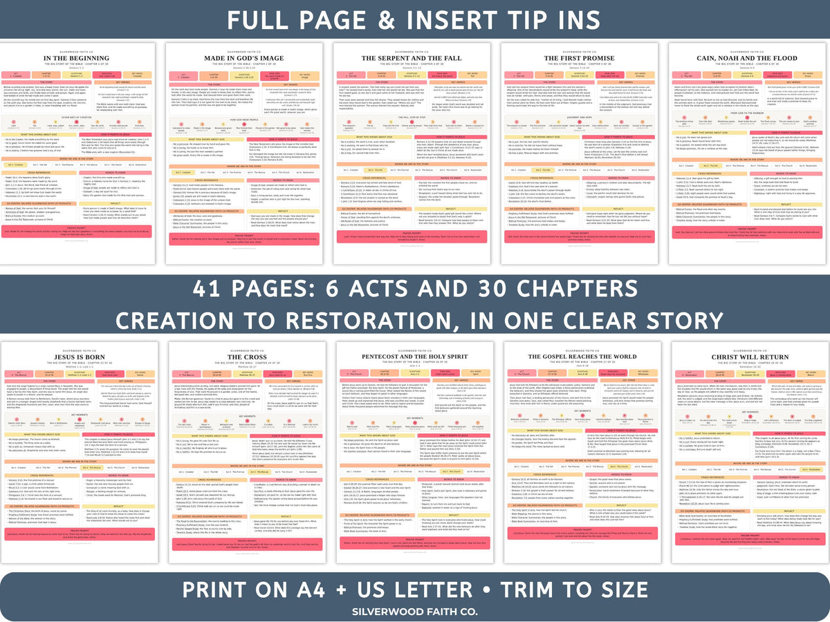 Bible Story Study Guide Printable, Bible Study Guides for Beginners, New Believer Bible Summaries, Sunday School Lessons, (Digital Download)