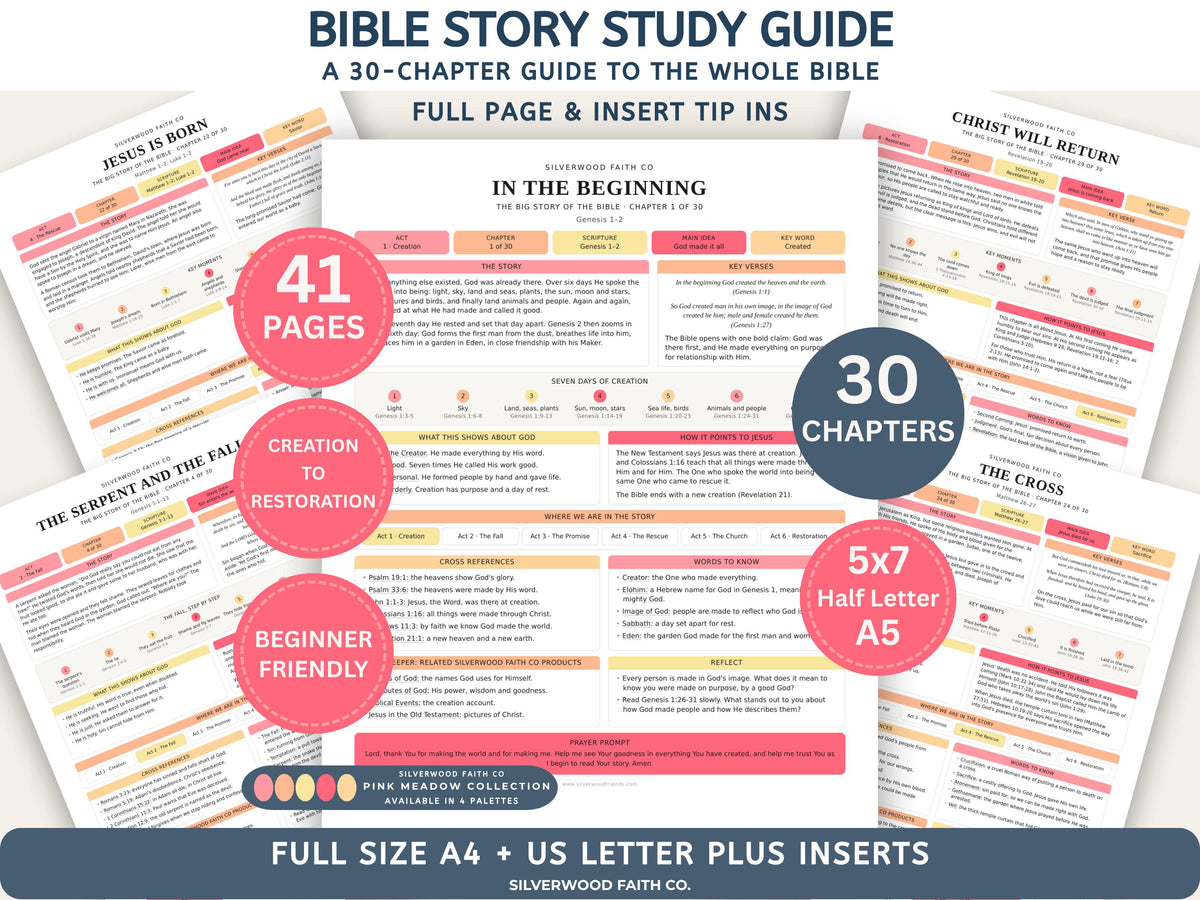 Bible Story Study Guide Printable, Bible Study Guides for Beginners, New Believer Bible Summaries, Sunday School Lessons, (Digital Download)