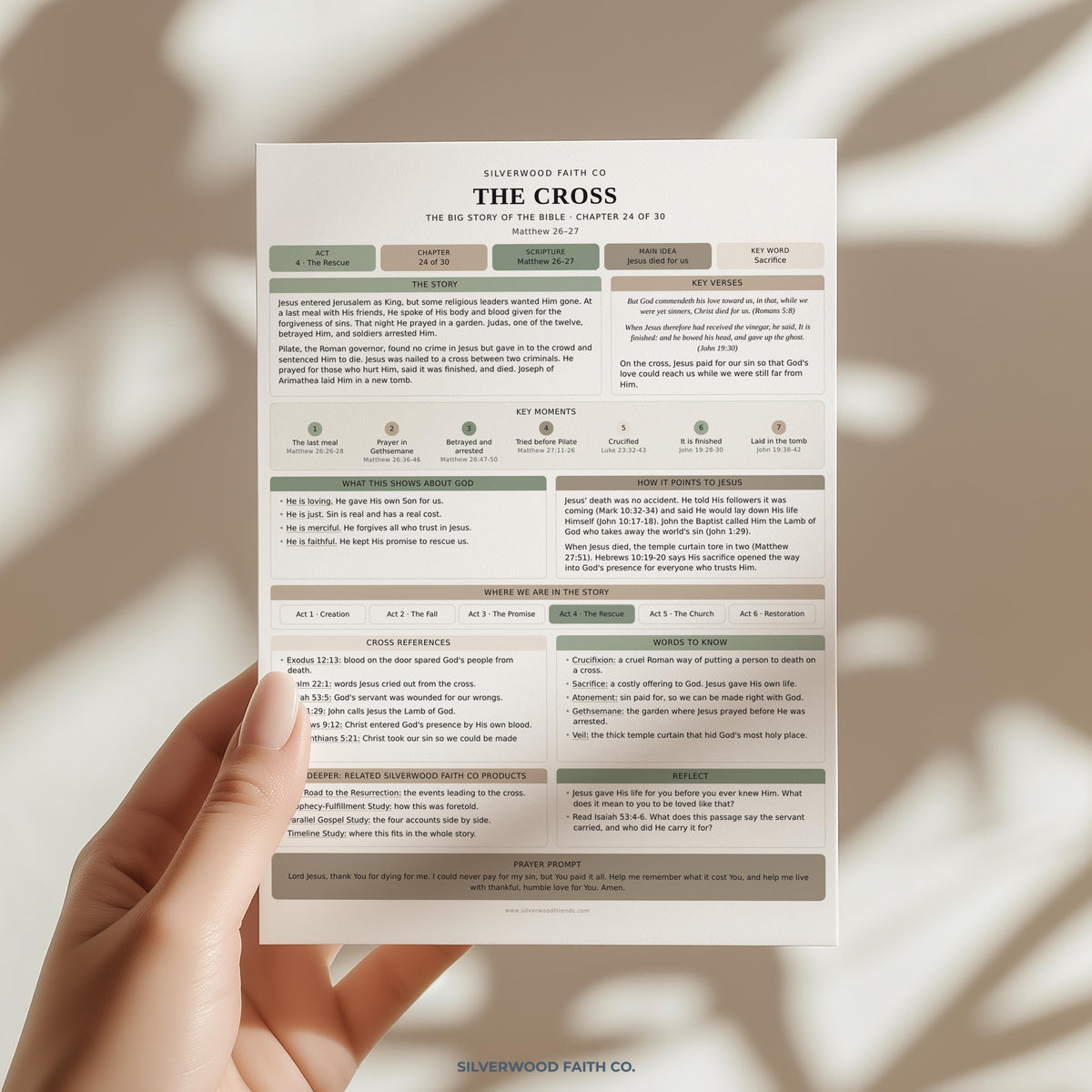 Bible Story Study Guide Printable, Bible Study Guides for Beginners, New Believer Bible Summaries, Sunday School Lessons, (Digital Download)