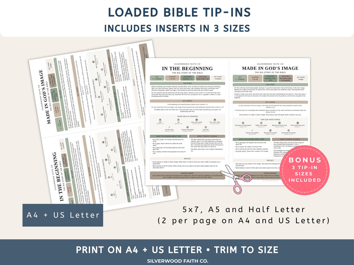 Bible Story Study Guide Printable, Bible Study Guides for Beginners, New Believer Bible Summaries, Sunday School Lessons, (Digital Download)