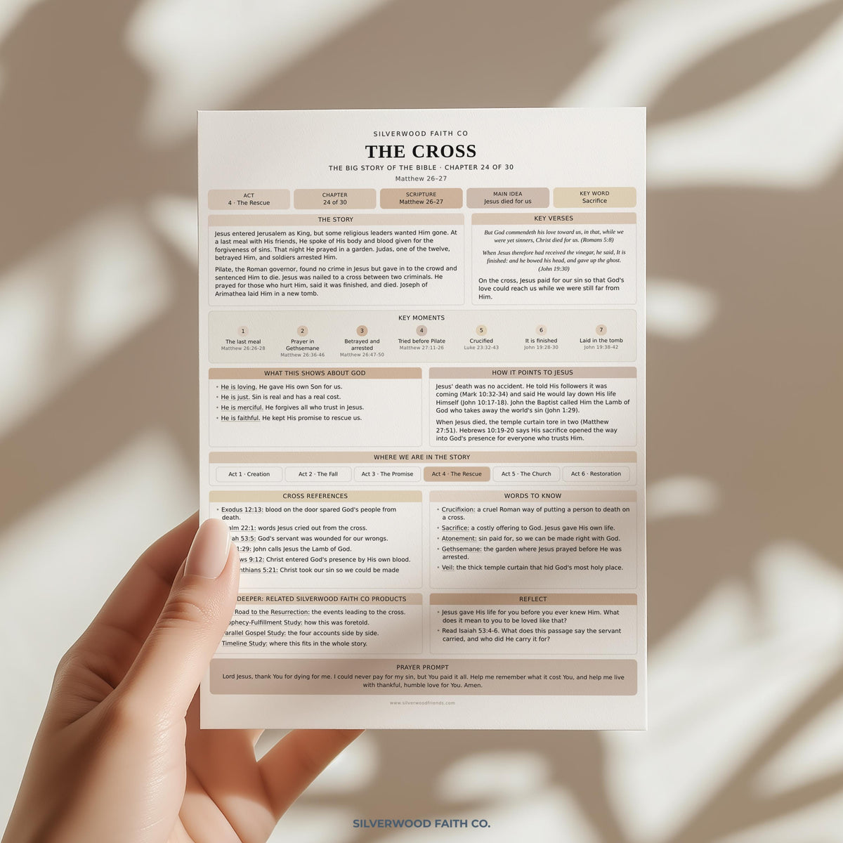 Bible Story Study Guide Printable, Bible Study Guides for Beginners, New Believer Bible Summaries, Sunday School Lessons, (Digital Download)