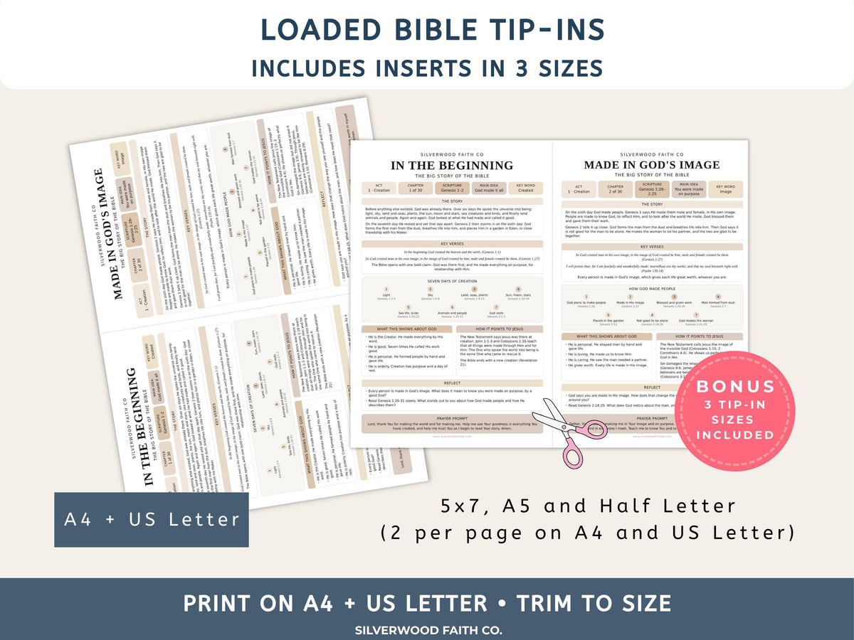 Bible Story Study Guide Printable, Bible Study Guides for Beginners, New Believer Bible Summaries, Sunday School Lessons, (Digital Download)