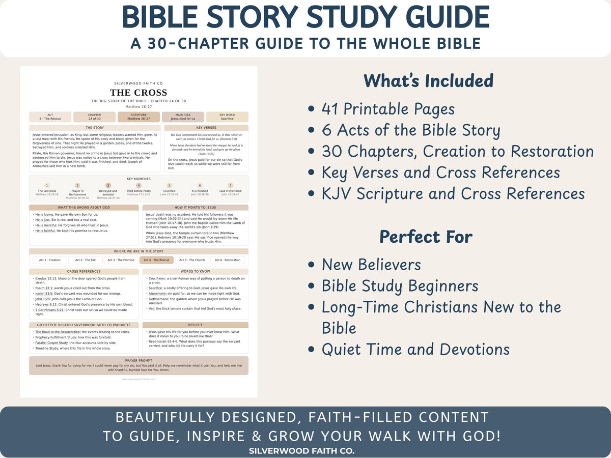 Bible Story Study Guide Printable, Bible Study Guides for Beginners, New Believer Bible Summaries, Sunday School Lessons, (Digital Download)