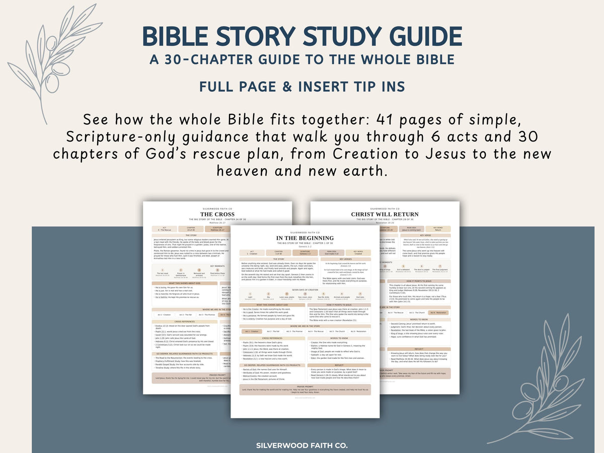 Bible Story Study Guide Printable, Bible Study Guides for Beginners, New Believer Bible Summaries, Sunday School Lessons, (Digital Download)