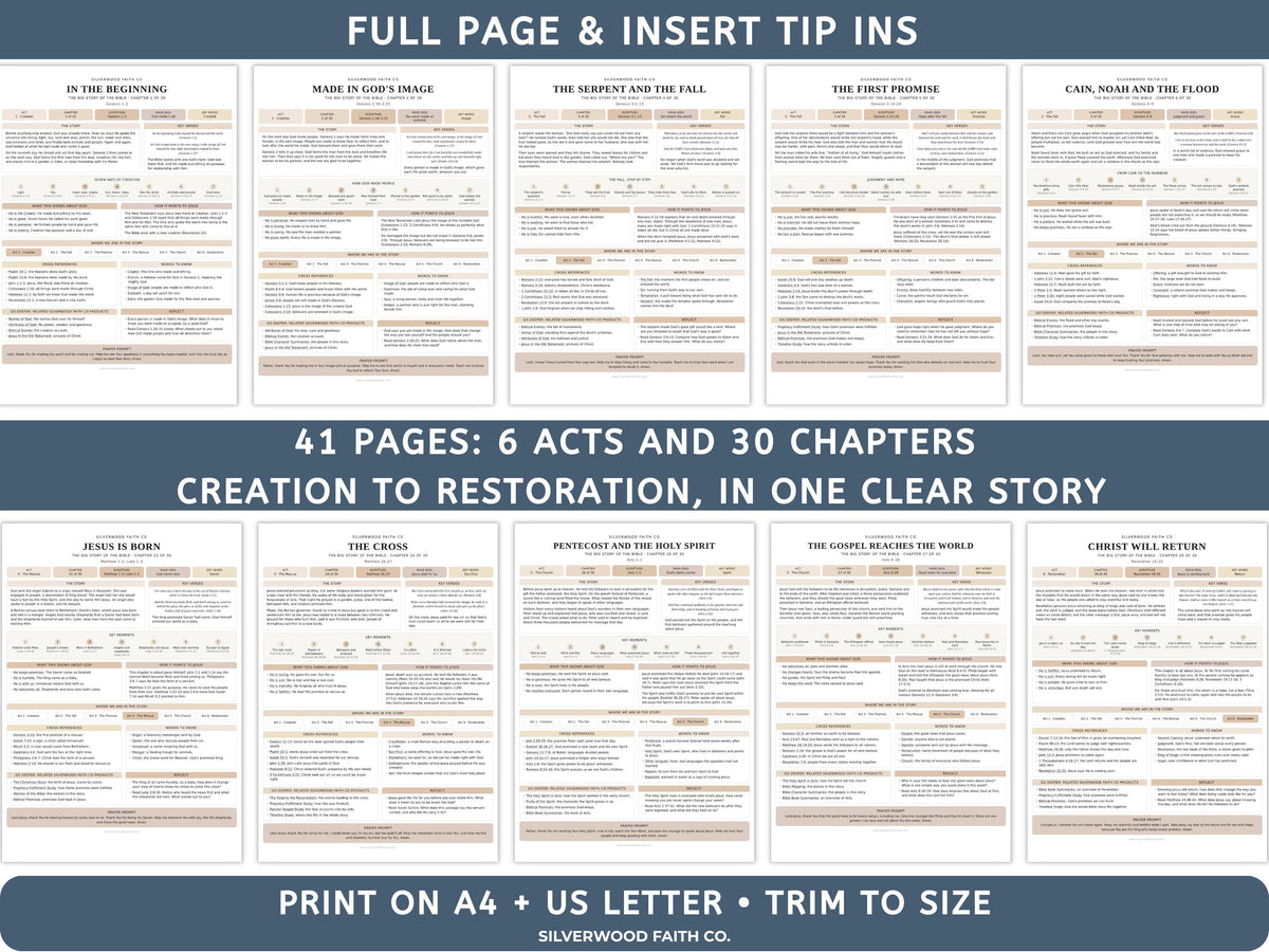 Bible Story Study Guide Printable, Bible Study Guides for Beginners, New Believer Bible Summaries, Sunday School Lessons, (Digital Download)