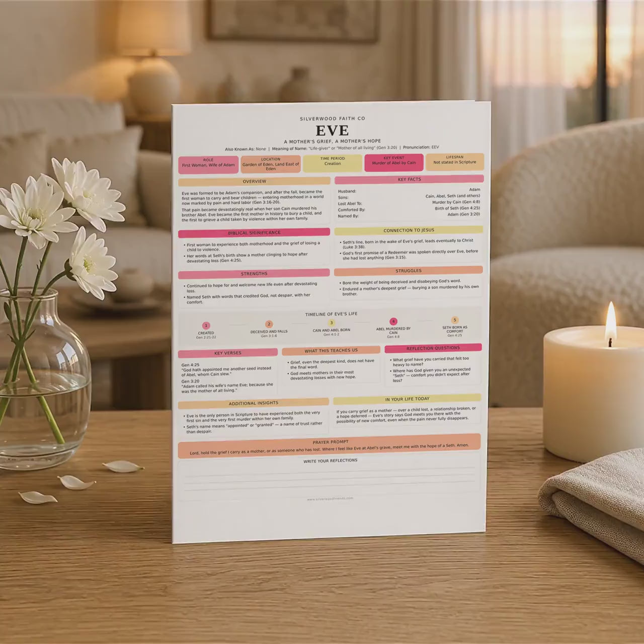 50 Women of the Bible Character Summary Inserts, Women of the Bible Tips Ins, Printable PDF, PINK MEADOW (Digital Download) 523