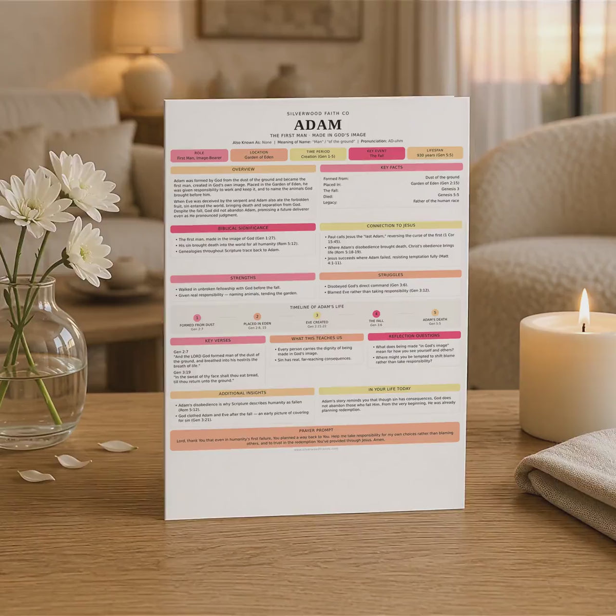 Bible Character Study Inserts: Tips Ins Summaries for 100 Biblical Figures, PDF Printable, PINK MEADOW (Digital Download) 518