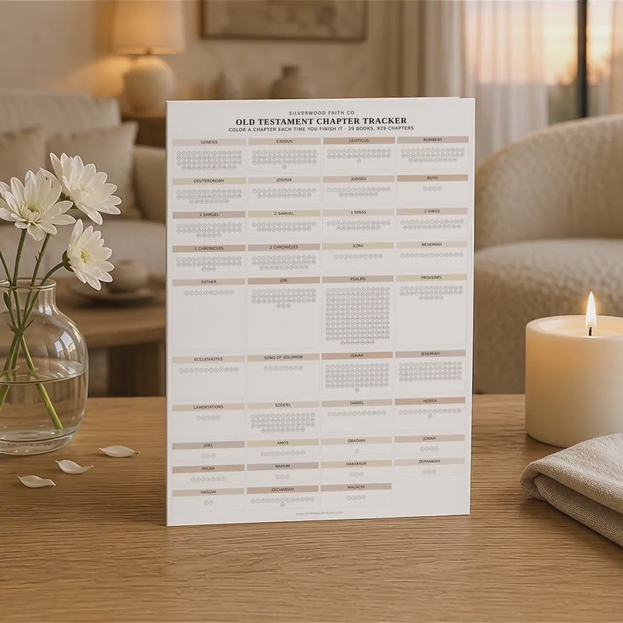 Bible Reading Tracker, Printable Books of the Bible Bookshelf Tracker, Printable Bible Study Template, CASHMERE (Digital Download) 566