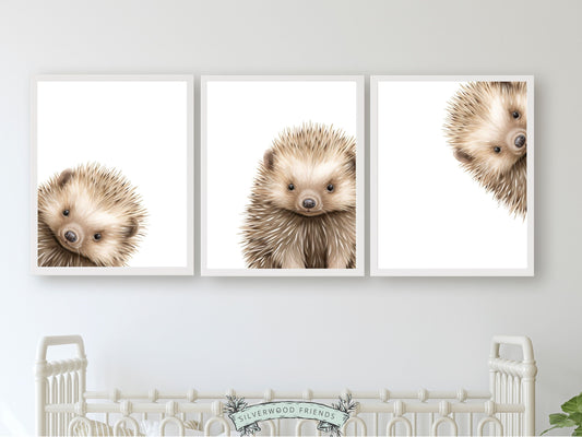Our delightful minimalist Set of 3 Peeking Animal Nursery Prints features adorable peeking hedgehogs. Its perfect for your woodland nursery decor or as a gender neutral baby shower gift.