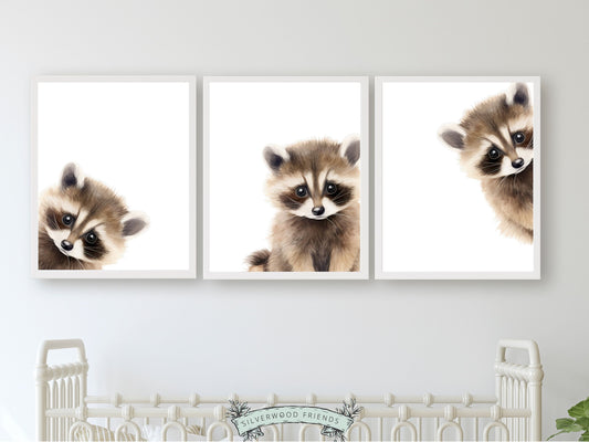 Our delightful minimalist Set of 3 Peeking Animal Nursery Prints features adorable peeking raccoon. Its perfect for your woodland nursery decor or as a gender neutral baby shower gift.